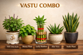 VASTU COMBO