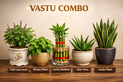 VASTU COMBO