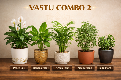 VASTU COMBO