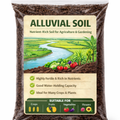 alluvial soil