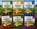 HYBRID PATATO SEEDS
