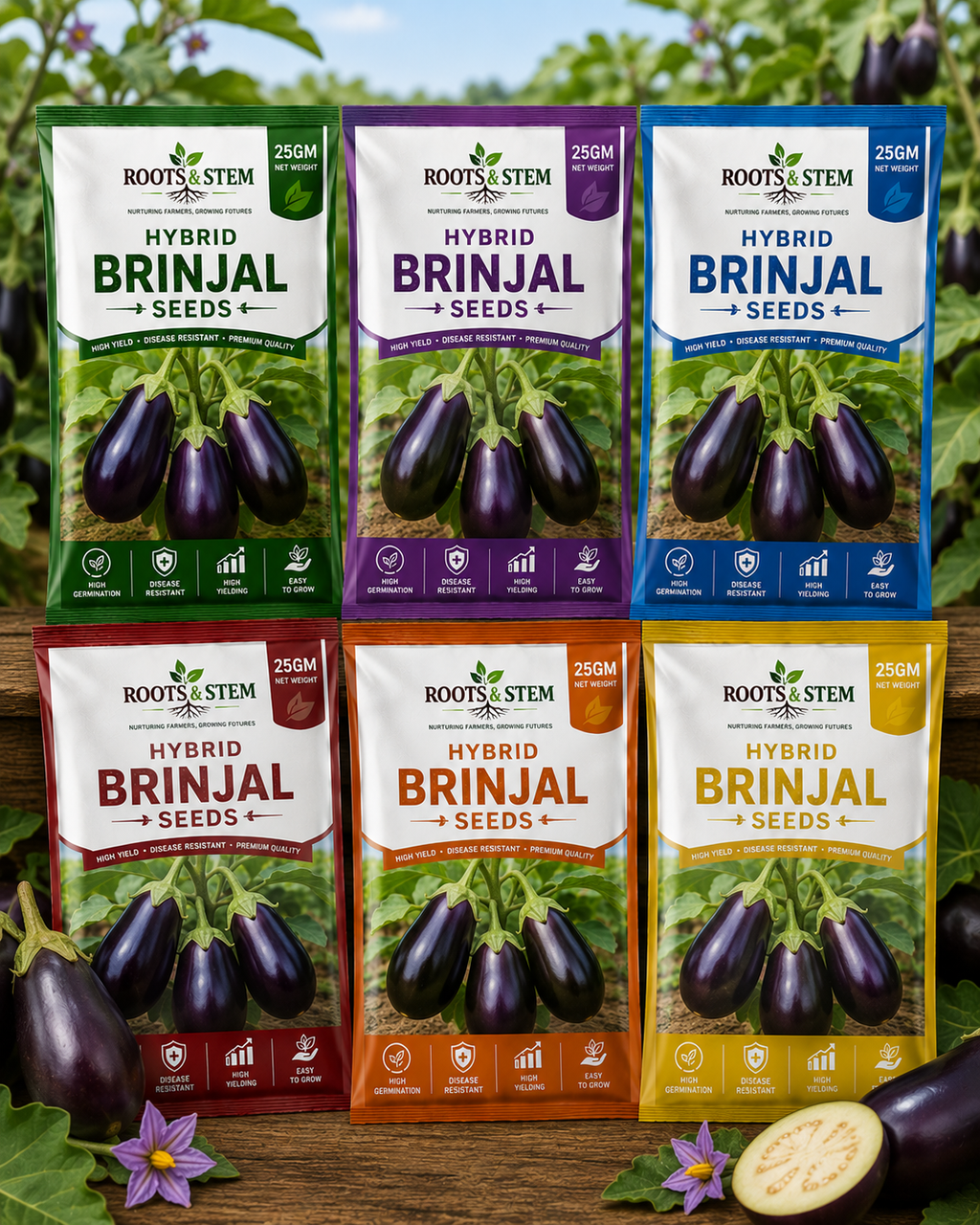 HYBRID BRINJAL SEEDS