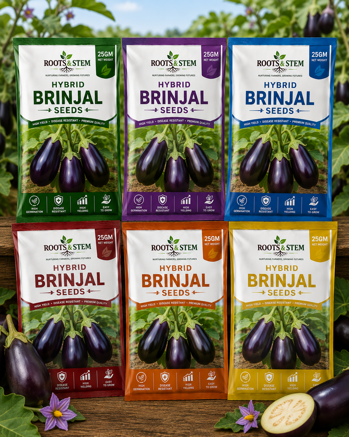 HYBRID BRINJAL SEEDS