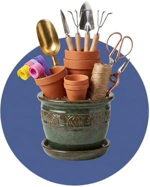 Pots and Accessories