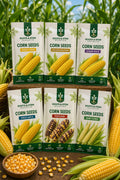 Hybrid Corn Seeds