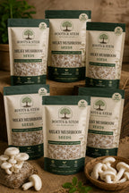 Milky Mushroom Seeds