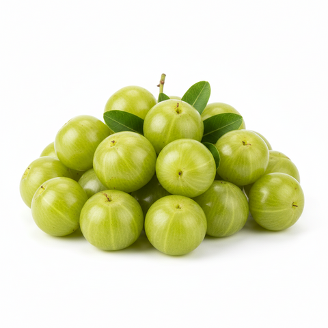 HYBRID AMLA PLANT