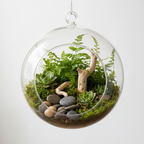 GLASS TERRARIUM (4INCH)