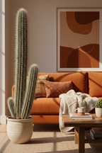 CLEISTOCACTUS STRAUSII (SILVER TORCH CACTUS)