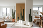 CLEISTOCACTUS STRAUSII (SILVER TORCH CACTUS)