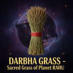NAVAGRAHA PLANT COMBO
