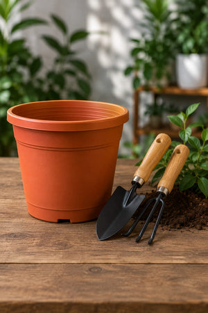 Pots and Accessories