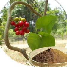 Guluchi Plant(Giloy)