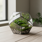 GLASS TERRARIUM (4INCH)
