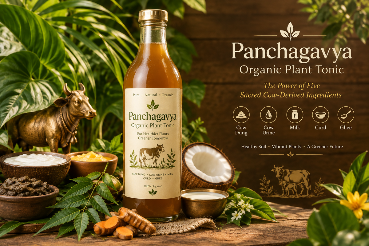 PANCHAGAVYA – ORGANIC PLANT TONIC