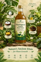 PANCHAGAVYA – ORGANIC PLANT TONIC