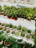 Test product