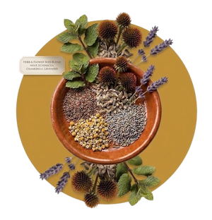 Seeds